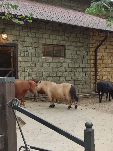 Парк Лога